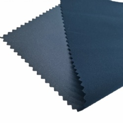 50D*50D plain Polyester Mechanical Stretch plain fabric with coating downproof waterproof